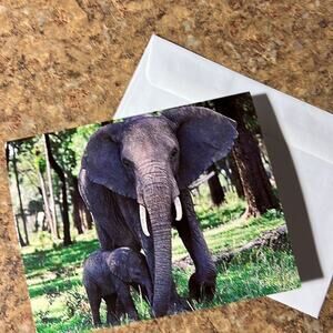 Elephant and Baby Note Cards Set of Ten